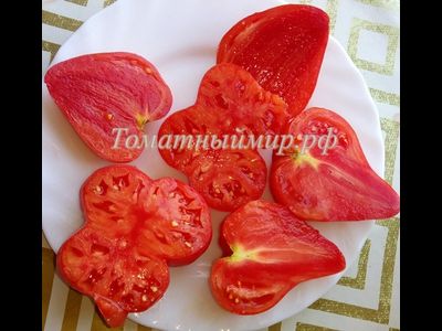 Томат Заилийский Алатау