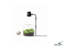 Набор для биодизайна  Biolark LH-03