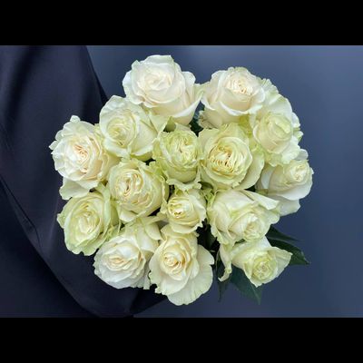 Роза Эквадор белая мондиаль 60 см. 15 шт