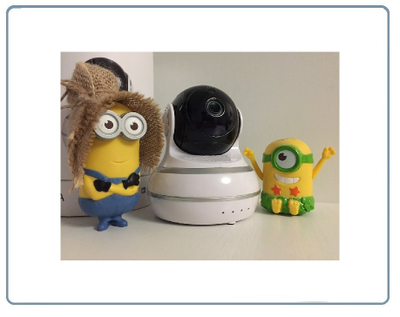 Моторизированная WiFi/LAN видеокамера с DVR,  HD (v380 Pro)