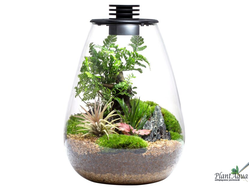 Биобутылка Biolark LED SD175 (175мм х 230мм)