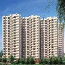 Prestige Southern Star