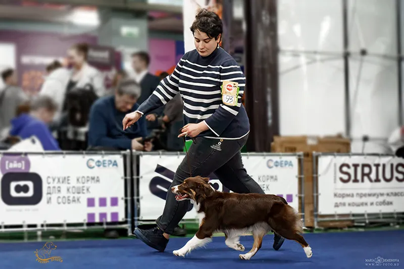 Юта - Юный Чемпион России и Юный Чемпион РКФ