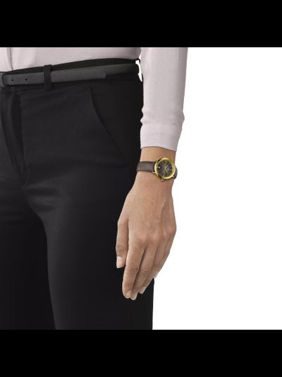 Швейцарские часы Tissot T929.210.46.066.00