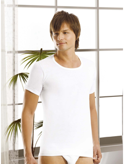 Футболка мужская 100% хлопок Oztas - A 1002