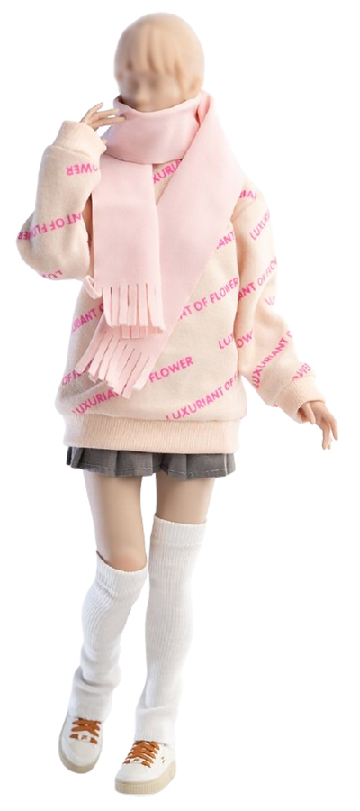 Женский комплект с толстовкой (розовая) и юбкой 1/6 Clothing set pink (CA010) - Worldbox