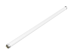 Gauss Basic T8 G13 10W(800lm) 6500K 6K 600x28 1930302