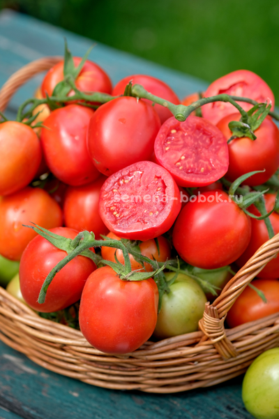 Томат Царица Полей, 10 шт