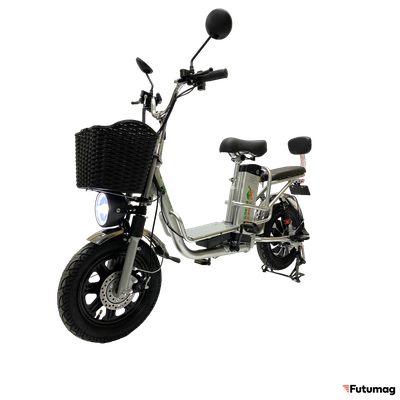 Электровелосипед GreenCamel Транк Монстр PRO (R16FAT 800W 48V15Ah) гидравл. тормоз