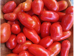 Томат Сан Марцано 3