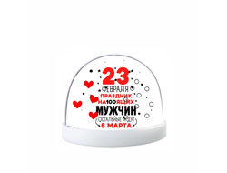 Водяной шар на 23 февраля №34