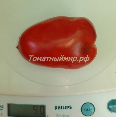 Томат Osu o Blonde avec Tetons (Пышногрудая блондинка Osu)