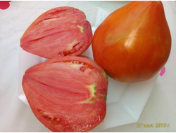 Томат Остроконечное сердце Марека (Marek's Pointy Heart) США