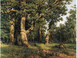 Картина обогреватель, репродукция Шишкина Лесные дали