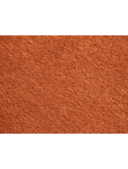 Фетр 20x30, жесткий, 1мм, цвет светло коричневый (52)