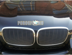 Защита радиатора BMW X5 E70 2006-2013 / BMW X6 2008-2014-... (3D) black PREMIUM