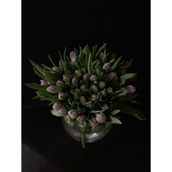 Тюльпаны пионовидные 35 шт