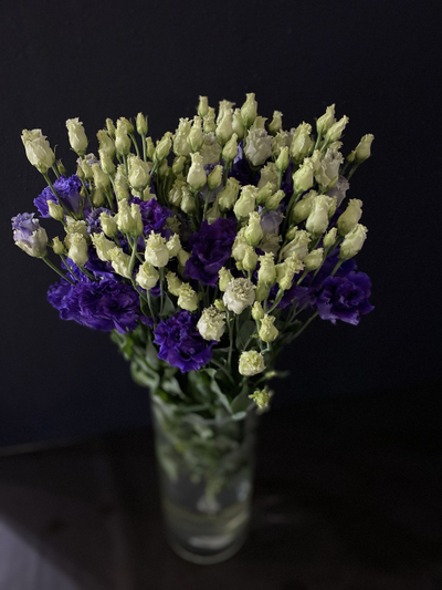 Эустома 25 шт