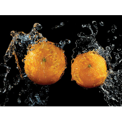 ШМП011  Панель FM42. Размер: 2800х610х6.