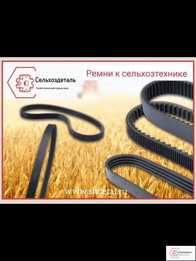 Ремни заказать