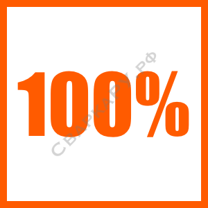 ЭИ 100% - полностью самостоятельная разработка и производство