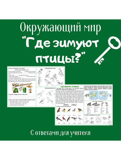 Рабочий лист. 1 класс. "Где зимуют птицы?"
