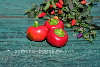 Перец сладкий Гогошар Савелова №15, 10 шт