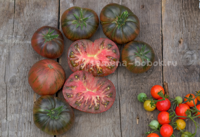 Томат Dwarf The Thong (Гном Тонг), 10 шт