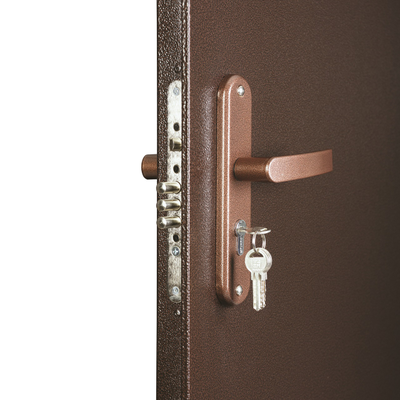 Дверь СПЕЦ PRO BMD