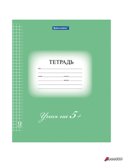Тетрадь 12 л. BRAUBERG ЭКО «5-КА», клетка, обложка плотная мелованная бумага, ЗЕЛЕНАЯ. 104759