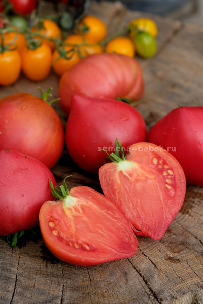 Томат Клубничный Сержант, 10 шт