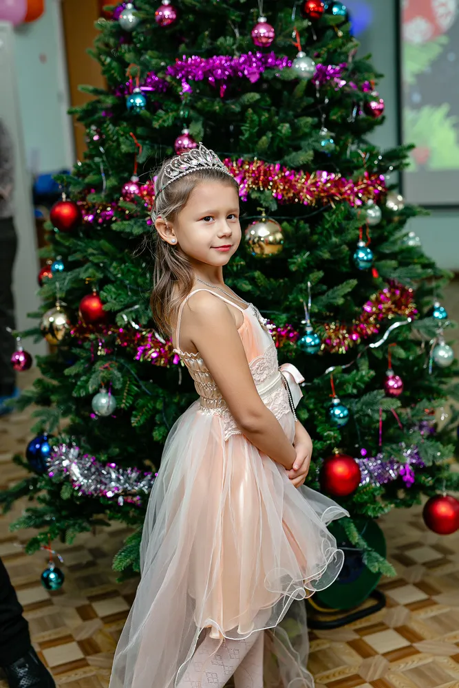 25.12.2024 - Новогодний утренник