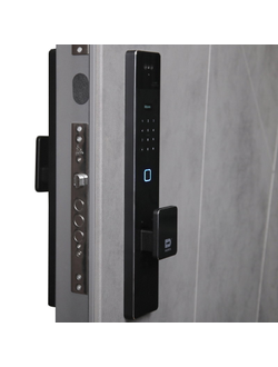 Стальная дверь   Дуэт Б с зеркалом (биометрический замок Smart lock К06)