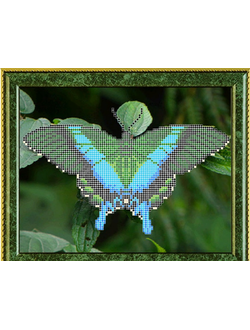 Изумрудный парусник, К4156