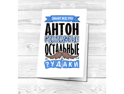 Картхолдер #4 Антон