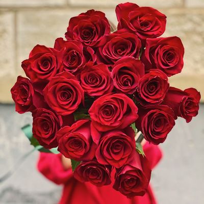 19 роз премиум 70 см
