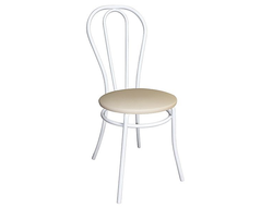 Стул медицинский М56-02