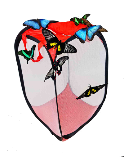 Домик для бабочек