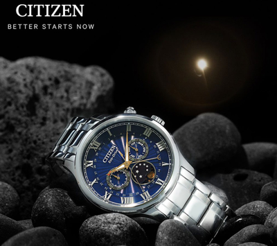 Наручные часы Citizen AP1050-81L