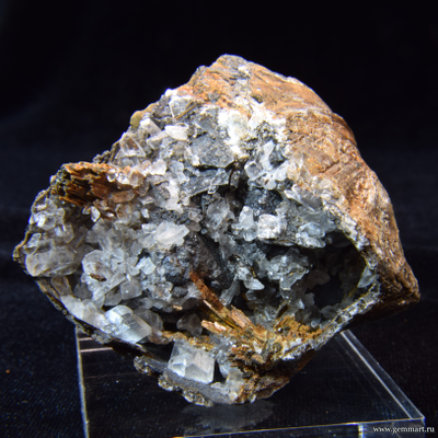 Гипс и псиломелан в полости ракушки. 61*50*39мм