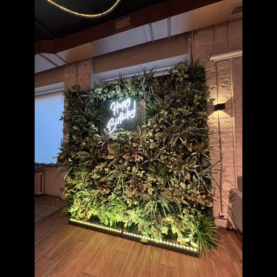 ФитоСтена на день рождения № 1488