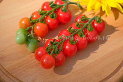 Томат Черри Кубелло, 10 шт