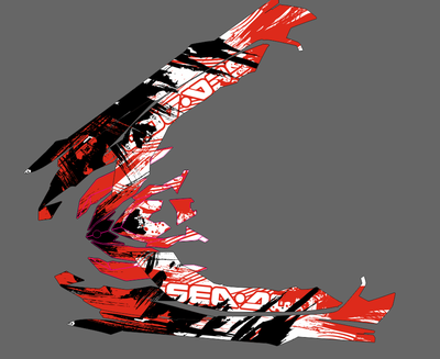 Наклейки на Гидроцикл RXT RXP SeaDoo BRP #1927