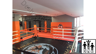 ринг напольный цена