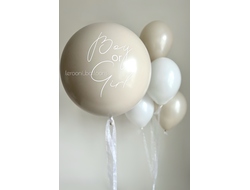 Комплект на гендер-пати №5