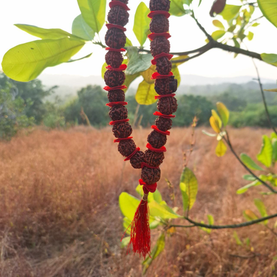 Четки Premium quality из натуральной крупной Рудракши 54 бусины красные