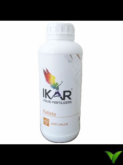 Икар Калисто 1л