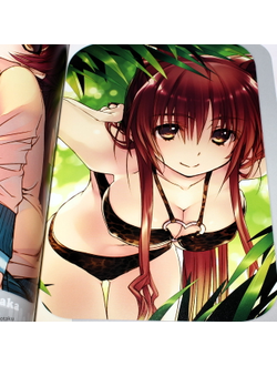 Оригинальный Арт Бук To Heart Heartful Party Official Guide First Step (Для сердца)