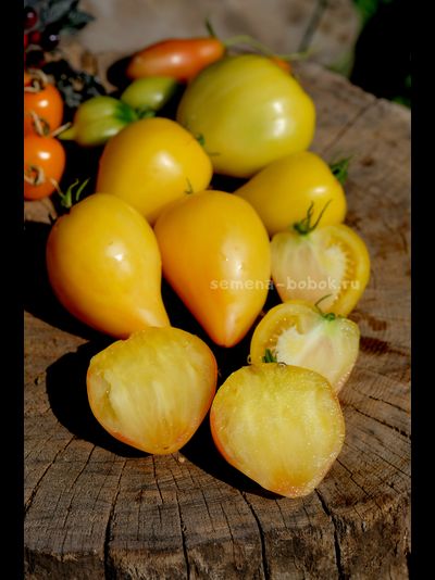 Томат Белое Сердце Софии