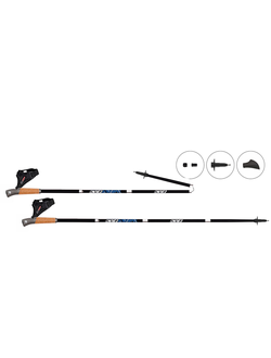 Палки для ходьбы KV+ CONDOR QCD 4 section pole